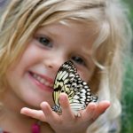 Девочка держит бабочку на ладони