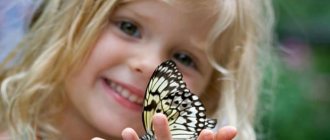 Girl holding a butterfly in her palm