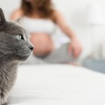 Child and pets: pros and cons