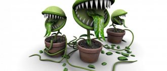 The appearance of some plants can cause fear in a child